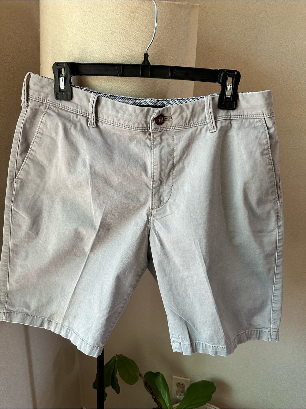 Express Men's Flat Front Chino Shorts - Light Gray